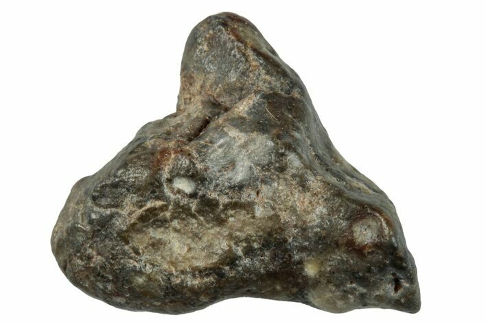 Lunar Meteorite ( g) - Laayoune #281487